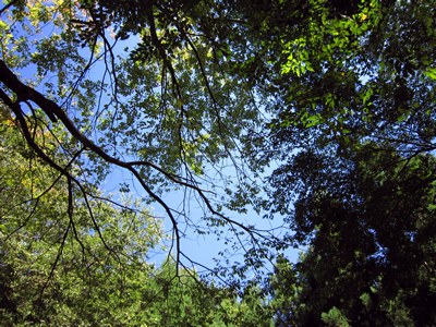 091012_01.jpg