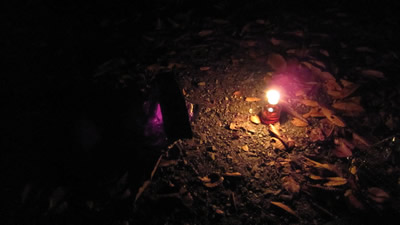 091115_03.jpg