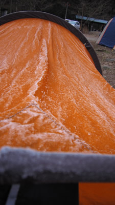100111_02.jpg