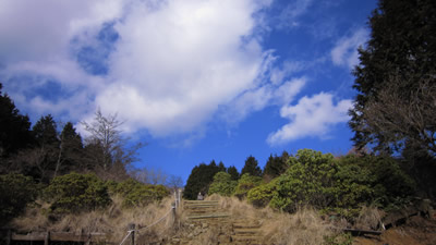 100124_03.jpg