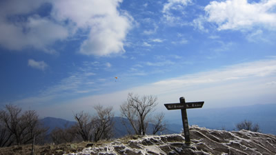 100124_04.jpg