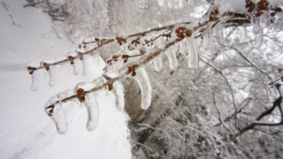 100215_02.jpg