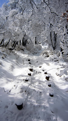 100215_04.jpg