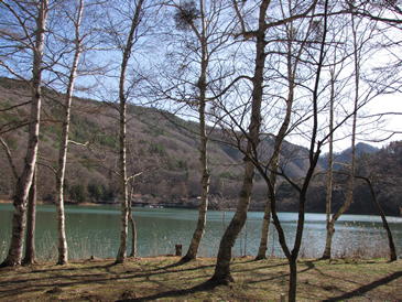 100323_03.jpg