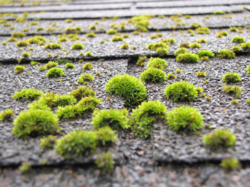 100412_10.jpg