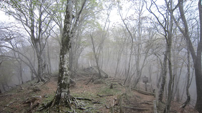 100516_01.jpg