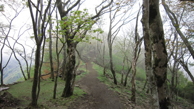 100516_03.jpg
