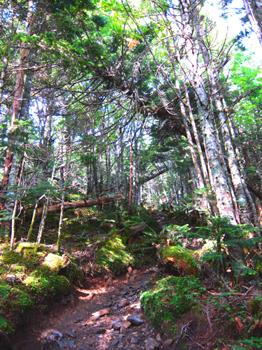 100815_02.jpg