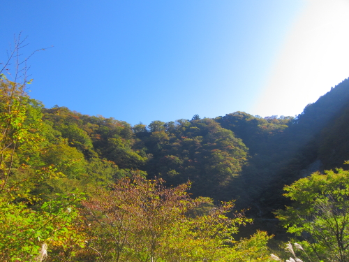 111030_07.JPG