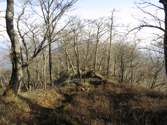 131116_02.JPG
