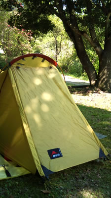 2010GW_08.jpg