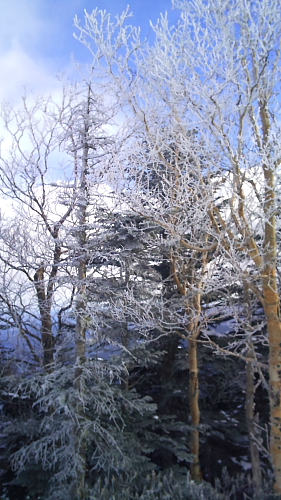 2011_03.JPG