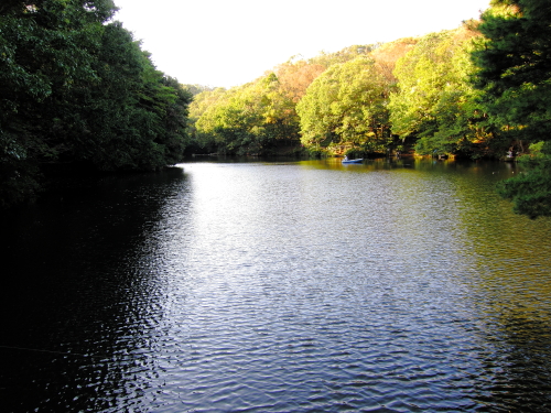 221016_05.JPG