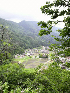 P1000066.jpg