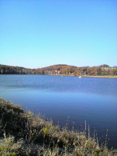 P1000083.jpg
